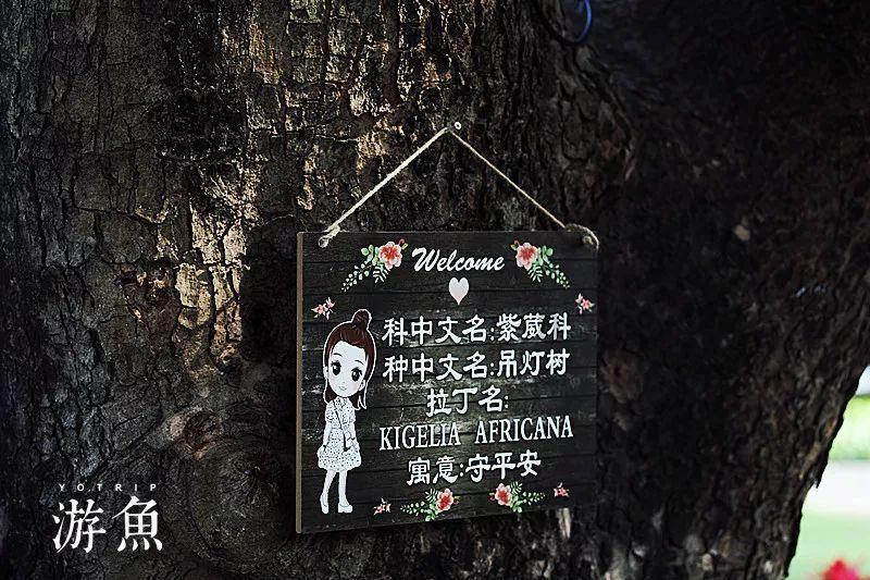 星动，只为你