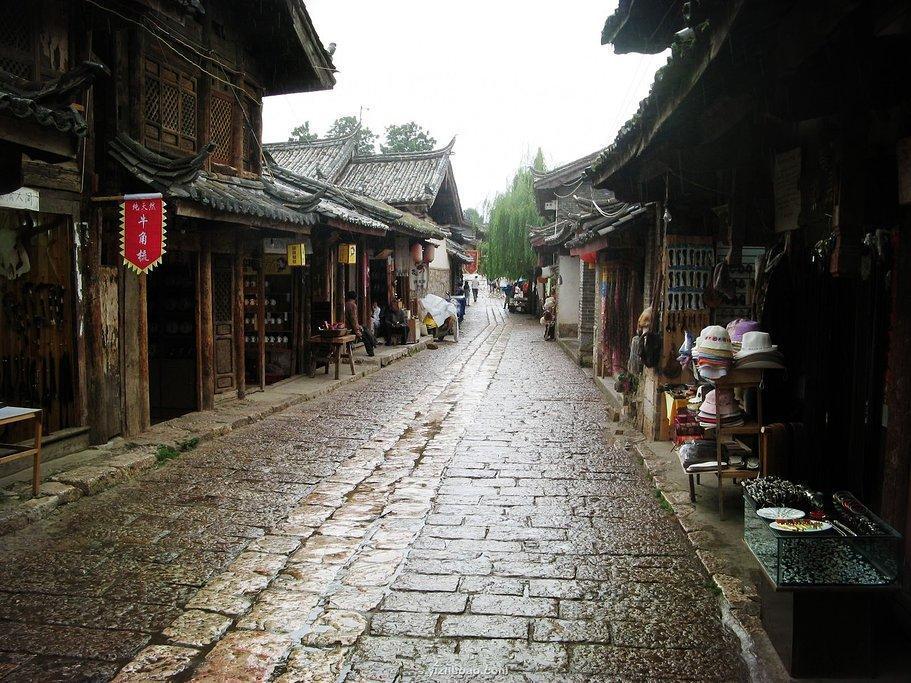 奇妙香蕉之旅